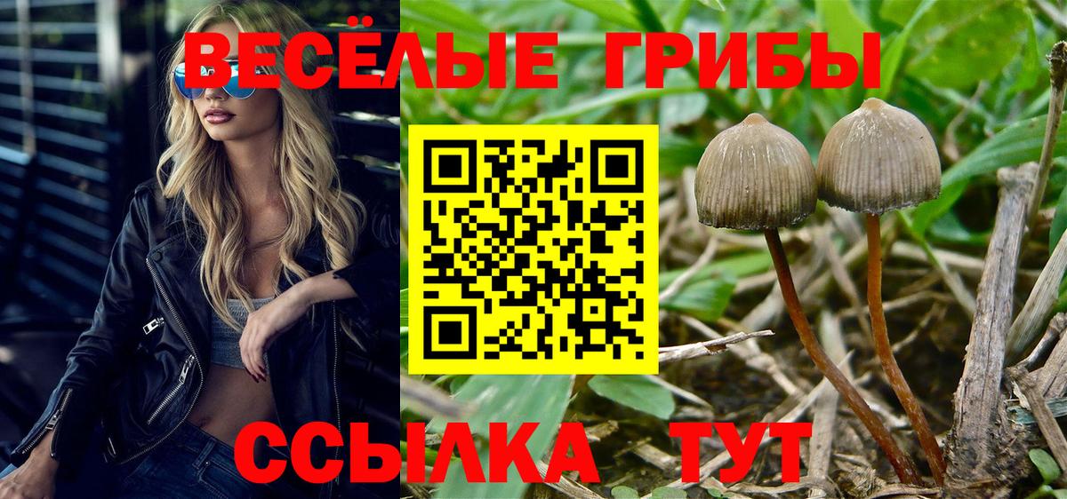 Галлюциногенные грибы мицелий Кстово