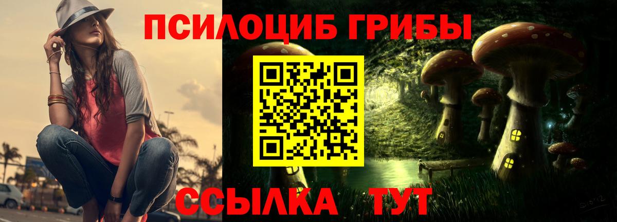 цена   Вход с VPN  Кстово  Галлюциногенные грибы Magic Shrooms 